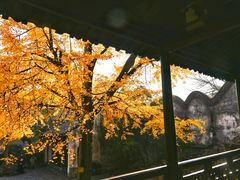 -惠山古镇·寄畅园