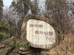 -白水寺森林公园