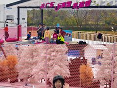 -盈香心动乐园
