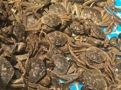 -星伦多自助料理(花山金鹰店)