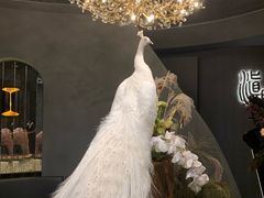 -滇野云南野生菌餐厅(陕西南路店)