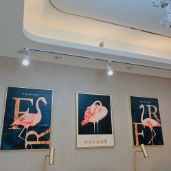 -H12 STAR日式美甲美睫专门店