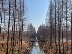 -黄海国家森林公园