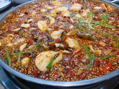 -胖子鱼·天水麻辣鱼火锅(秦州407店)