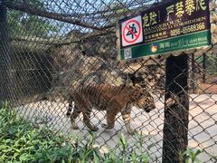 -海南热带野生动植物园