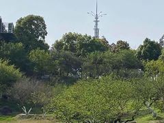 -秀丽东方