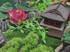 -广东胜利宾馆西关粤中餐厅