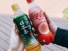 -台场海滨公园船码头