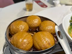 -新概念来凤鱼(璧山店)