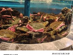 -海立阁海鲜江浙菜(漕河泾印象城店)