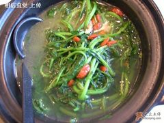 西洋菜-海逸海鲜酒家(古北店)