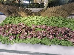 -川骄海鲜自助(河东店)