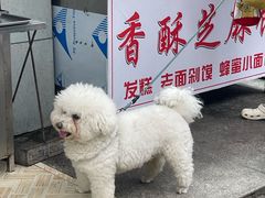 -四妹餐厅(玫瑰街店)