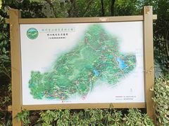 -杭州半山国家森林公园