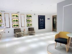 -MIVI野生眉纹绣纹眉