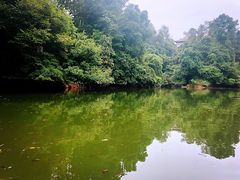 -保利石象湖景区