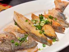 -陈鹏鹏潮汕菜(世界之窗店)