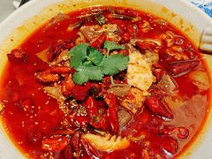 -辛香汇·现炒川菜(淮海路百盛店)