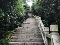 -狼山风景名胜区