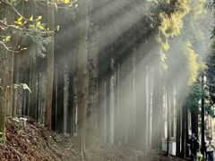 -山王坪喀斯特国家生态公园