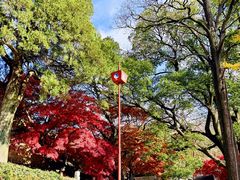 -青岛崂山太清宫