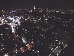 -东京都厅舍
