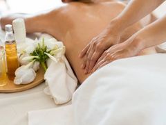 -道合堂·中式按摩·spa(民治店)