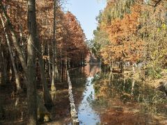 -兴福老面馆(寺路街店)