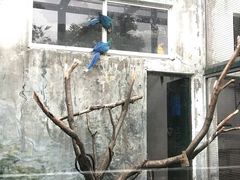 -无锡动物园·太湖欢乐园