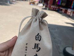 -洛阳白马寺