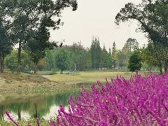 -两河城市森林公园