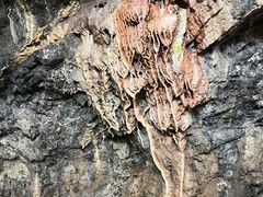 -通灵大峡谷