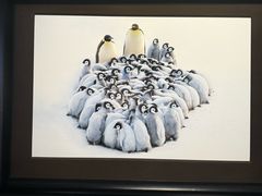 -罗红摄影艺术馆