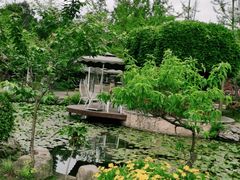 -洪湖家庭农场·团建·露营·会议