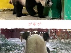 -杭州野生动物世界