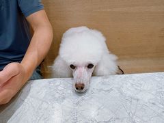 -翠华餐厅(正佳广场店)