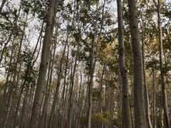 -仁和公园(顺义区)