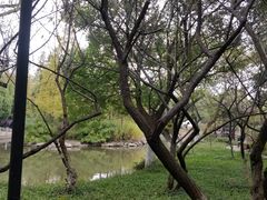 -瀛洲公园