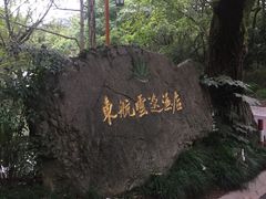 -东航云逸酒店(九溪烟树店)