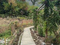 -塔川景区