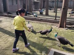 -南京金牛湖风景区