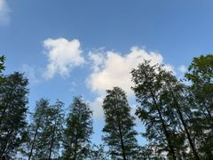 -东莞植物园
