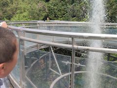-海南槟榔谷黎苗文化旅游区