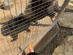 -武汉紫薇都市田园