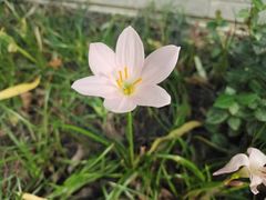 -大妙火锅·非物质文化遗产(东湖公园店)