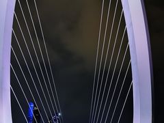 -南京眼步行桥