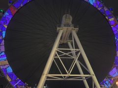 -西树泡芙(静安大悦城店)