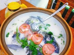 -全乐鱼馆·淳牌有机鱼直营店