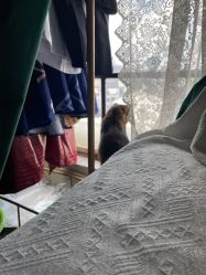 -星元素cosplay动漫摄影写真工作室