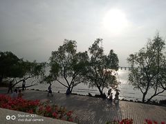 -宝安西湾红树林湿地公园